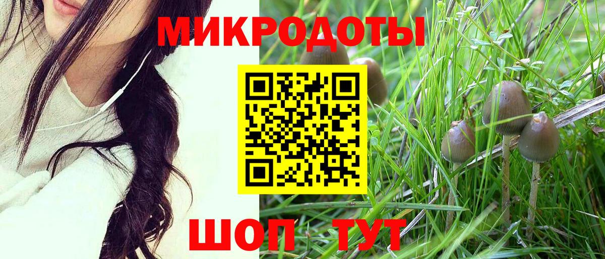 Кизляр  Галлюциногенные грибы Cubensis  Вход с VPN 